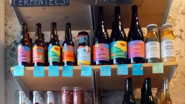 Boissons fermentées sans alcool Fermentations