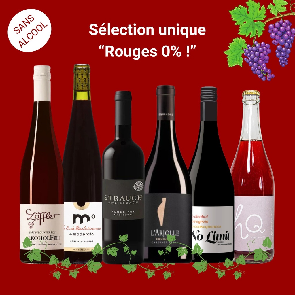 Sélection "vin sans alcool" : vins rouges désalcoolisés