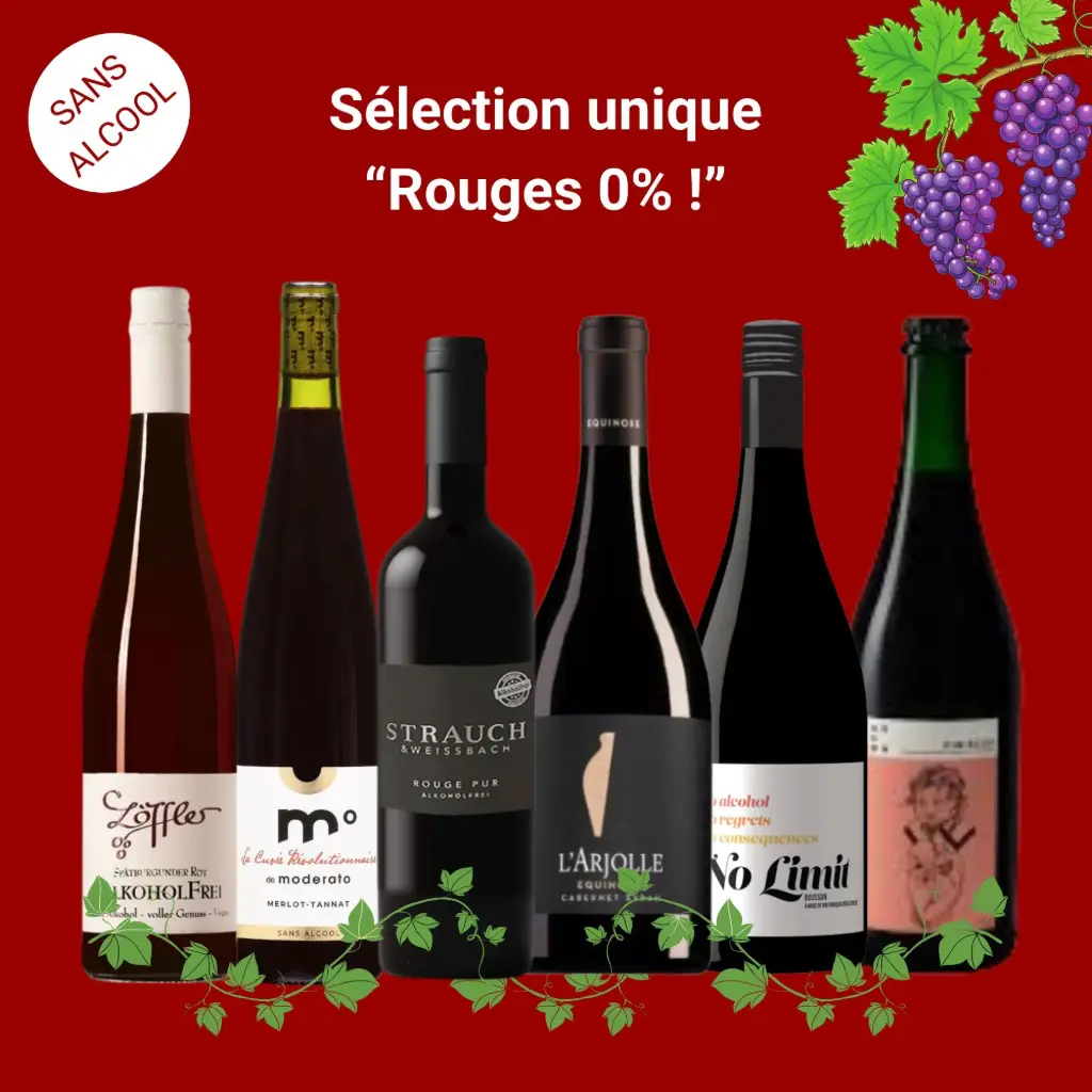 Sélection "vin sans alcool" : vins rouges désalcoolisés