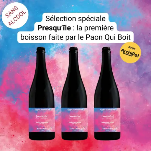 [Eshop_Presquile3bouteillesBIO] Sélection spéciale Presqu'île - par le Paon Qui Boit x Archipel / cuvée 2026 (3 bouteilles - BIO)